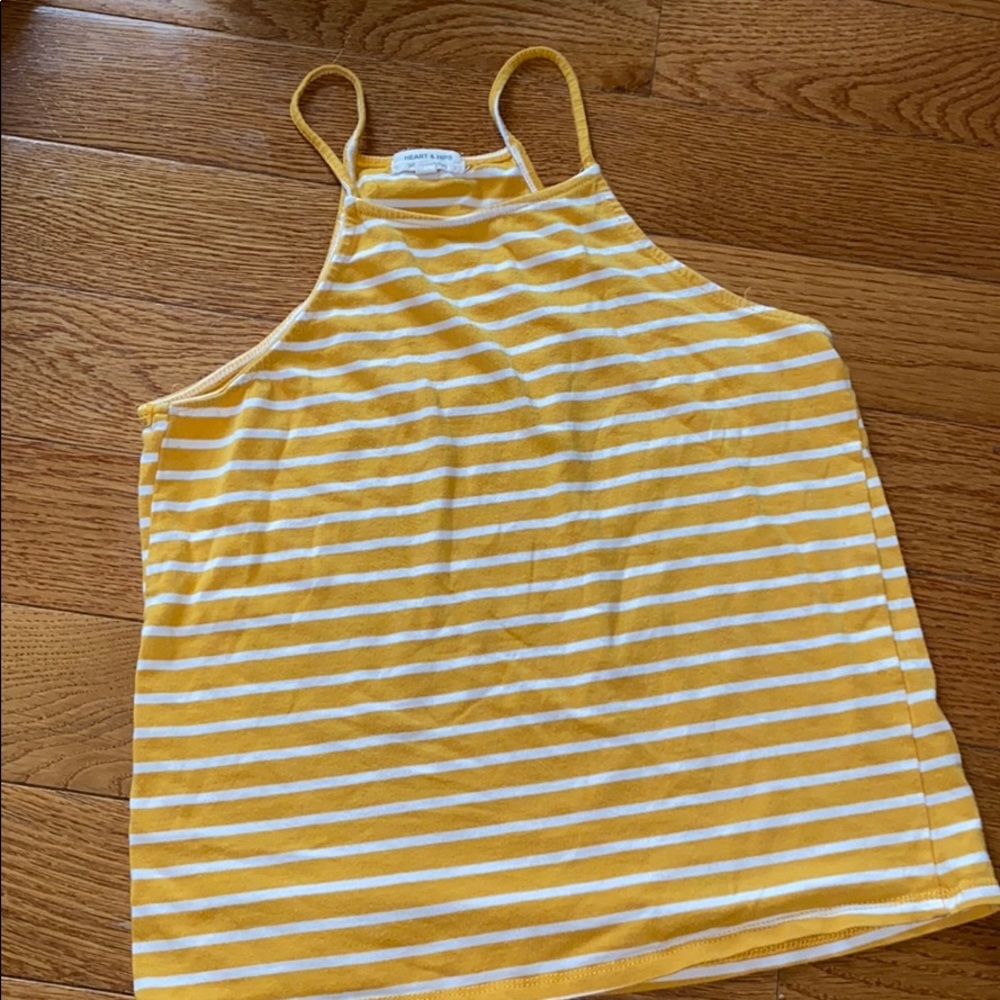 Heart & Hips Striped Crop Top